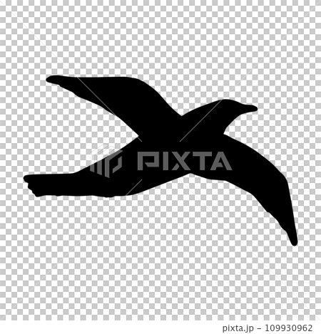 滑空する鳥のシルエットモノクロイラスト　 109930962