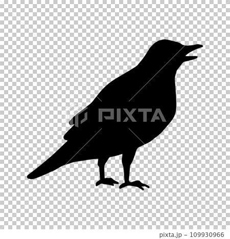 烏鴉的側面輪廓單色插圖 109930966