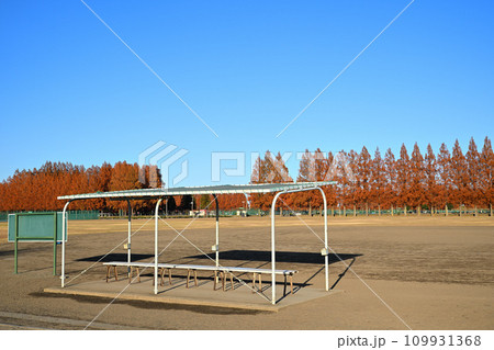 初冬のグラウンド風景　大宮健保グラウンド　さいたま市 109931368