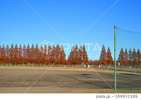 初冬のグラウンド風景 大宮健保グラウンド さいたま市 初冬のグラウンド風景 大宮健保グラウンド さいたま市 109931389