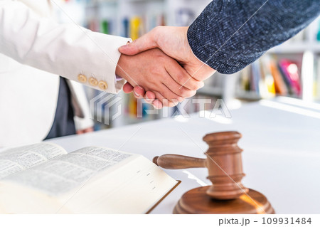 握手する男女:ビジネス 握手する男女:ビジネス 109931484