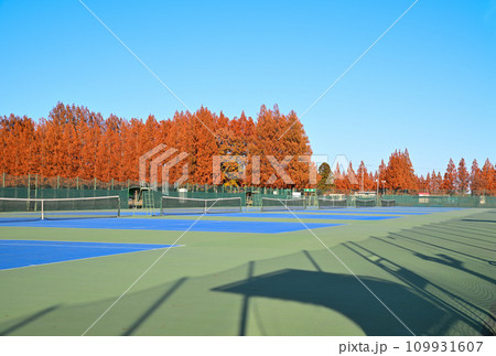 初冬 テニスコート風景 大宮健保グラウンド さいたま市 初冬 テニスコート風景 大宮健保グラウンド さいたま市 109931607