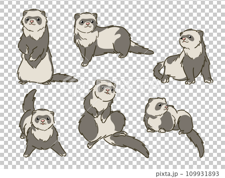 フェレットのイラスト素材詰め合わせ 109931893