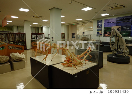 東京海洋大学マリンサイエンスミュージアム 109932430