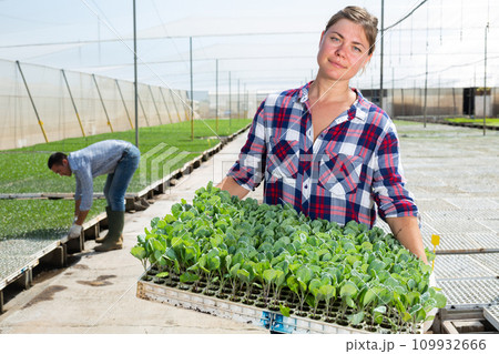 Portrait of cheerful woman gardener with tray of seedlings 109932666