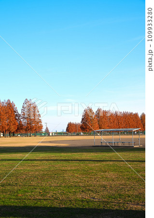 初冬のグラウンド風景　大宮健保グラウンド　さいたま市 109933280