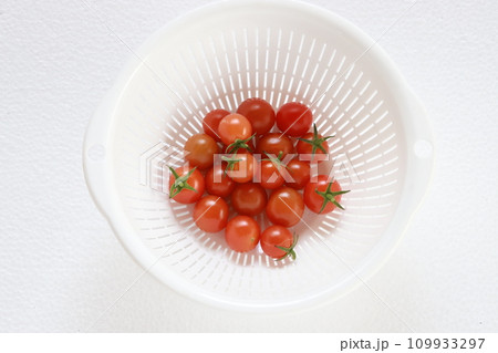 ミニトマト収穫 ミニトマト収穫 109933297