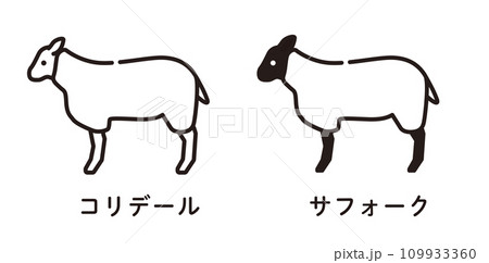 羊　羊肉　マトン 109933360