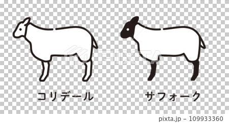 羊　羊肉　マトン 109933360