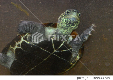 八王子市　あったかホール 109933789