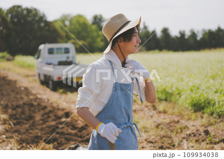 vegetable field 109934038