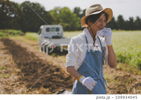 vegetable field vegetable field 109934045