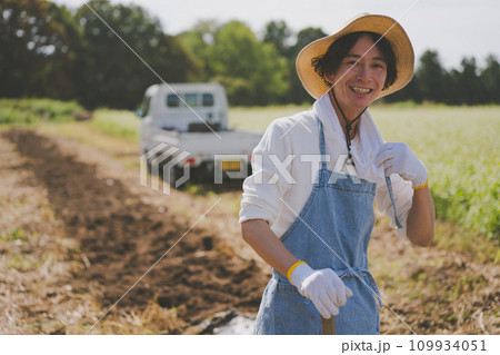 vegetable field 109934051