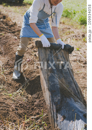vegetable field 109934058