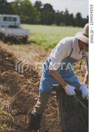 vegetable field 109934059