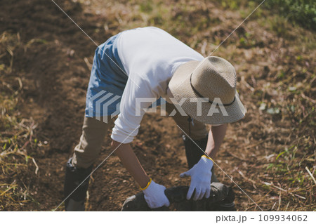 vegetable field vegetable field 109934062
