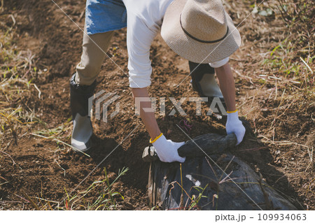 vegetable field 109934063