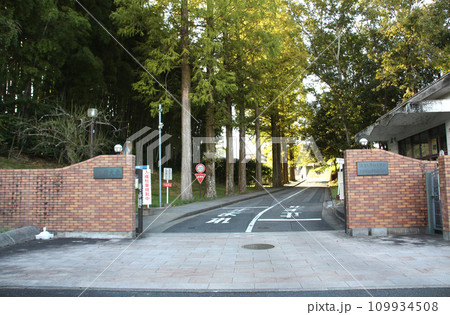 滋賀大学大津キャンパス 滋賀大学大津キャンパス 109934508