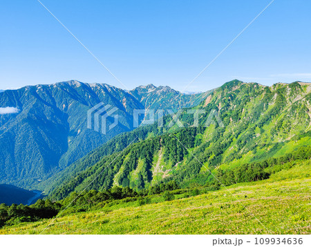 夏の爺ヶ岳登山（種池山荘から針ノ木岳・蓮華岳・赤沢岳方面の眺め） 109934636