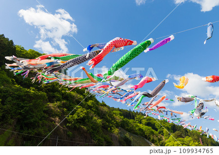 群馬県神流町の春 かんな鯉のぼり祭り 群馬県神流町の春 かんな鯉のぼり祭り 109934765