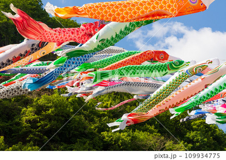 群馬県神流町の春　かんな鯉のぼり祭り 109934775