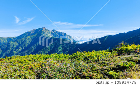 夏の爺ヶ岳登山(種池山荘~爺ヶ岳の稜線から鹿島槍ヶ岳を望む) 夏の爺ヶ岳登山(種池山荘~爺ヶ岳の稜線から鹿島槍ヶ岳を望む) 109934778