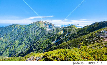夏の爺ヶ岳登山(種池山荘~爺ヶ岳の稜線から鹿島槍ヶ岳を望む) 夏の爺ヶ岳登山(種池山荘~爺ヶ岳の稜線から鹿島槍ヶ岳を望む) 109934949