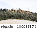 deforestation for roads, wood harvesting, wood as a renewable biological resource, deforestation area for highways, construction of toll roads, land acquisition for the construction of a major road 109936578