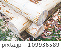 make a log wooden house, Create houses from ethnic logs in the open air, a wooden log cabin. 109936589
