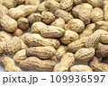 inshell peanuts close-up, organic peanuts, top view, selective focus. background image 109936597