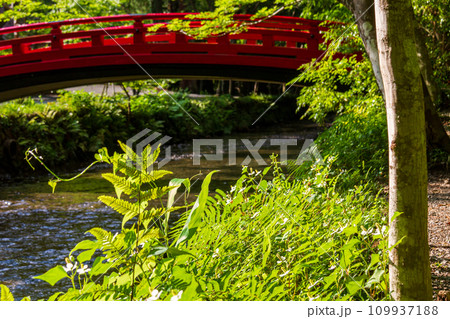 静岡県周智郡森町一宮　小國神社と境内の風景 109937188