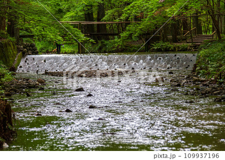 静岡県周智郡森町一宮　小國神社と境内の風景 109937196