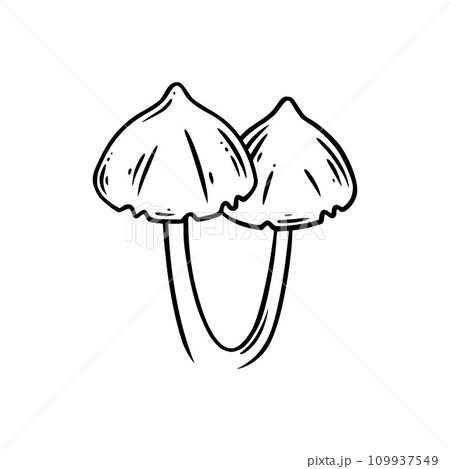 Poison mushrooms. Psychedelic mushrooms for wicca rituals. Vector illustration Poison mushrooms. Psychedelic mushrooms for wicca rituals. Vector illustration 109937549