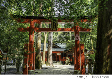 椿大神社　椿岸神社鳥居　三重県鈴鹿市 109937596