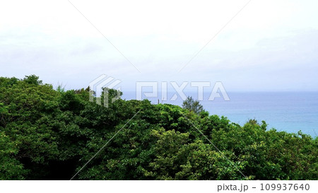 沖縄県津堅島のにんじんの形をした展望台から見える風景 109937640