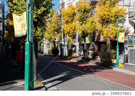 【洗足商店街】駅前のいちょう通りの並木道 109937661
