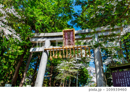 山梨 冨士御室浅間神社　～西鳥居～ 109939460