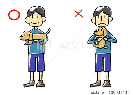 正しい犬の抱き方と間違った抱き方のイラスト 109939535