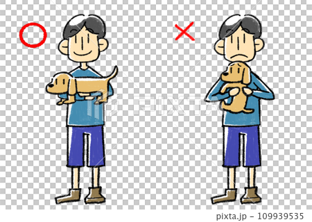正しい犬の抱き方と間違った抱き方のイラスト 109939535