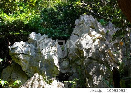 ラクダ岩 やんばる国立公園 沖縄 ラクダ岩 やんばる国立公園 沖縄 109939934