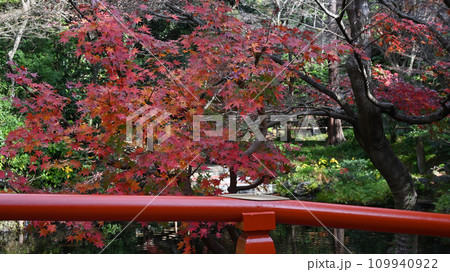 鶴岡八幡宮、柳原神池にかかる橋 109940922