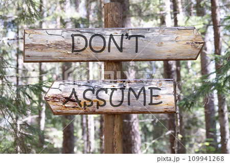 DO NOT ASSUME the inscription on the pillar against the background of the forest DO NOT ASSUME the inscription on the pillar against the background of the forest 109941268