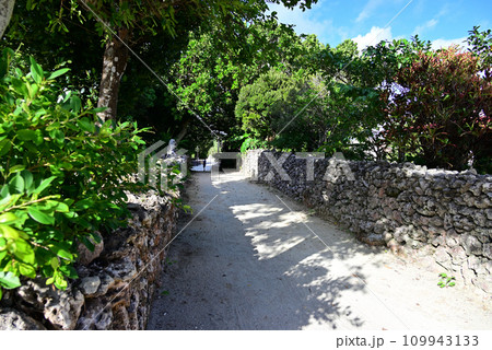 竹富島 サンゴの石垣と白砂の道 竹富島 サンゴの石垣と白砂の道 109943133