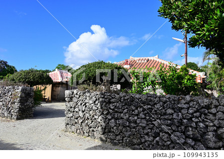 竹富島 青空に映える赤瓦屋根とグックの石垣 竹富島 青空に映える赤瓦屋根とグックの石垣 109943135