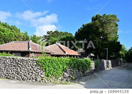 竹富島 琉球瓦の赤瓦屋根とグックの石垣 109943139
