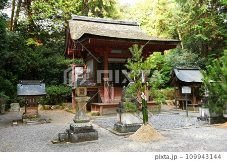 【竜王町　国指定重要文化財「苗村神社」東本殿】 109943144