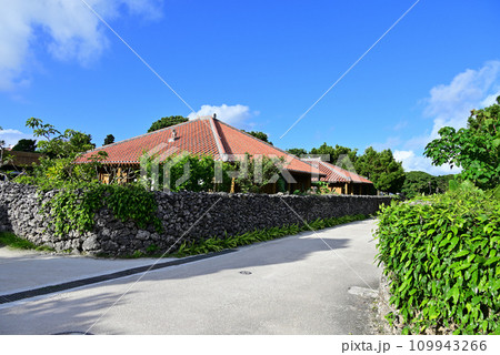 竹富島 青空に映える赤瓦屋根とグックの石垣 109943266