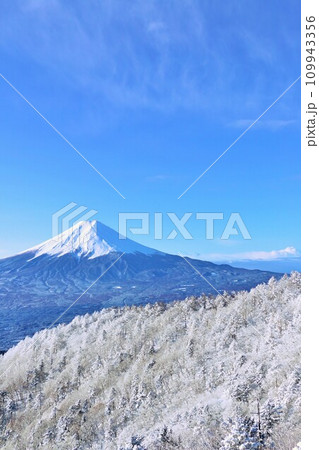 山梨県 冬の富士山 山梨県 冬の富士山 109943356