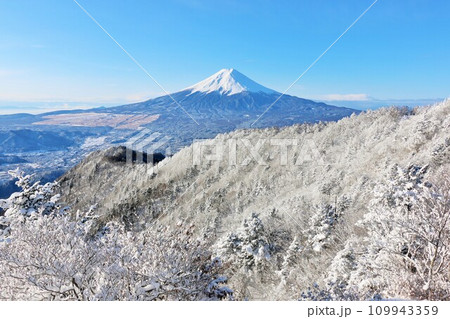山梨県　冬の富士山 109943359