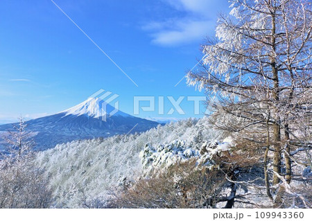 山梨県　冬の富士山 109943360